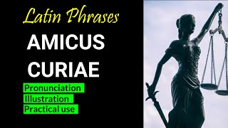 Amicus Curiae Meaning Of Amicus Curiae How To Use Amicus Curiae In A Sentence Latin Phrases