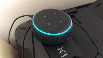 Echo Dot Distortion