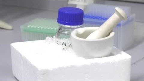 Tissue Extractions for Metabolomic Analysis