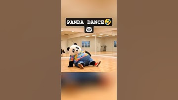 Chubby Panda’s DANCE FAIL! Keep Dancing, No Matter What! #panda #pandalife #shorts