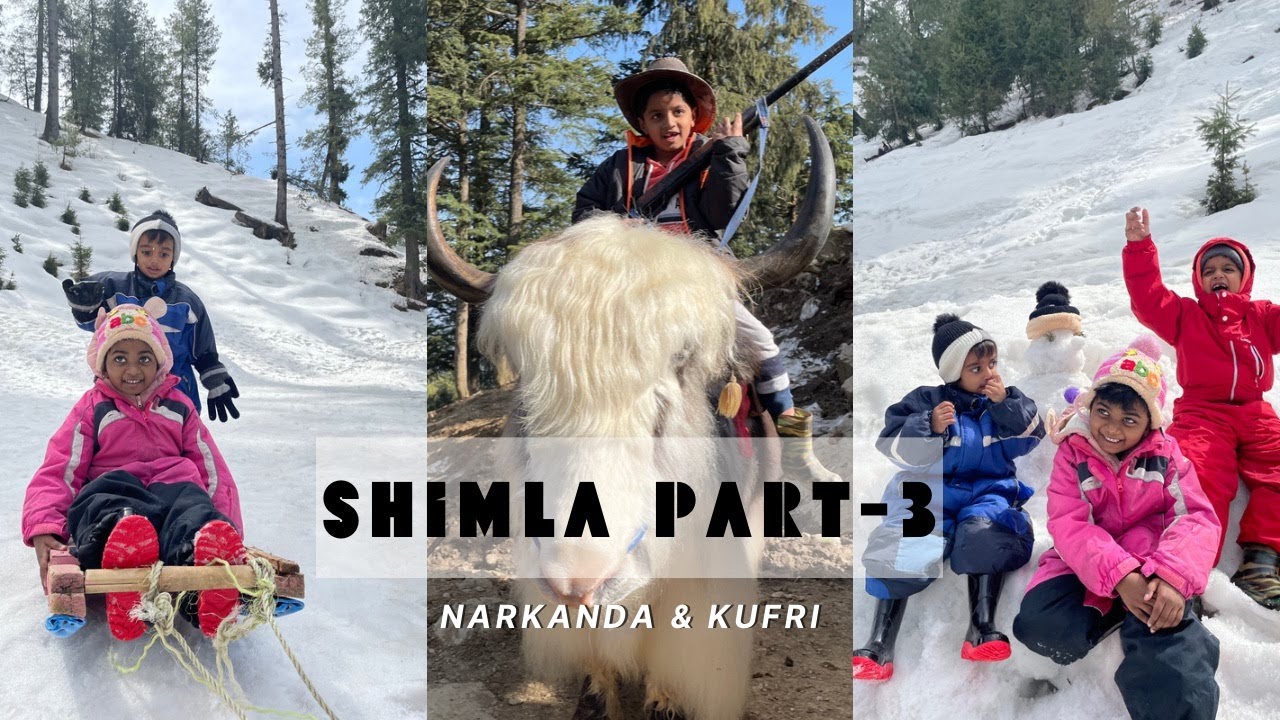 shimla kufri narkanda trip