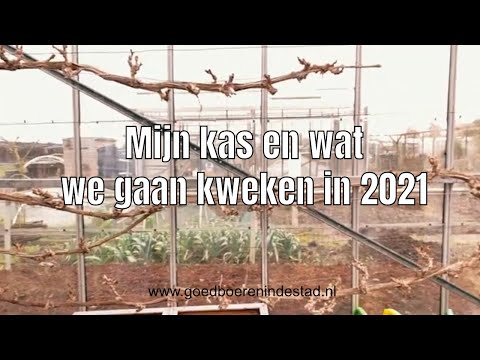 Video: Groente Verbou In 'n Kweekhuis