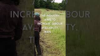 Strengthening Canada’s Agricultural Workforce