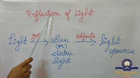 Class 4/TNB/Science/Chapter 2 - Part 2/Session 6