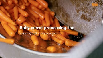 How Are Baby Carrots REALLY Made in Factories?
