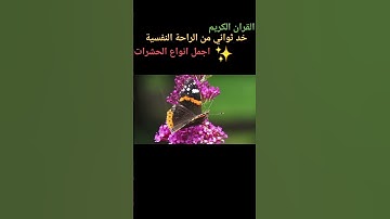 ثواني راحة نفسية هدية  القران الكريم #المصحف #quran #اكسبلور #تلاوة #القرآن_الكريم #سورة #اية #ايات