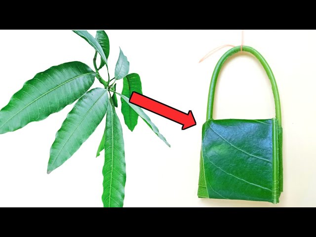 87,400+ Leaf Bag Stock Photos, Pictures & Royalty-Free Images - iStock |  Lawn and leaf bag, Paper leaf bag, Banana leaf bag