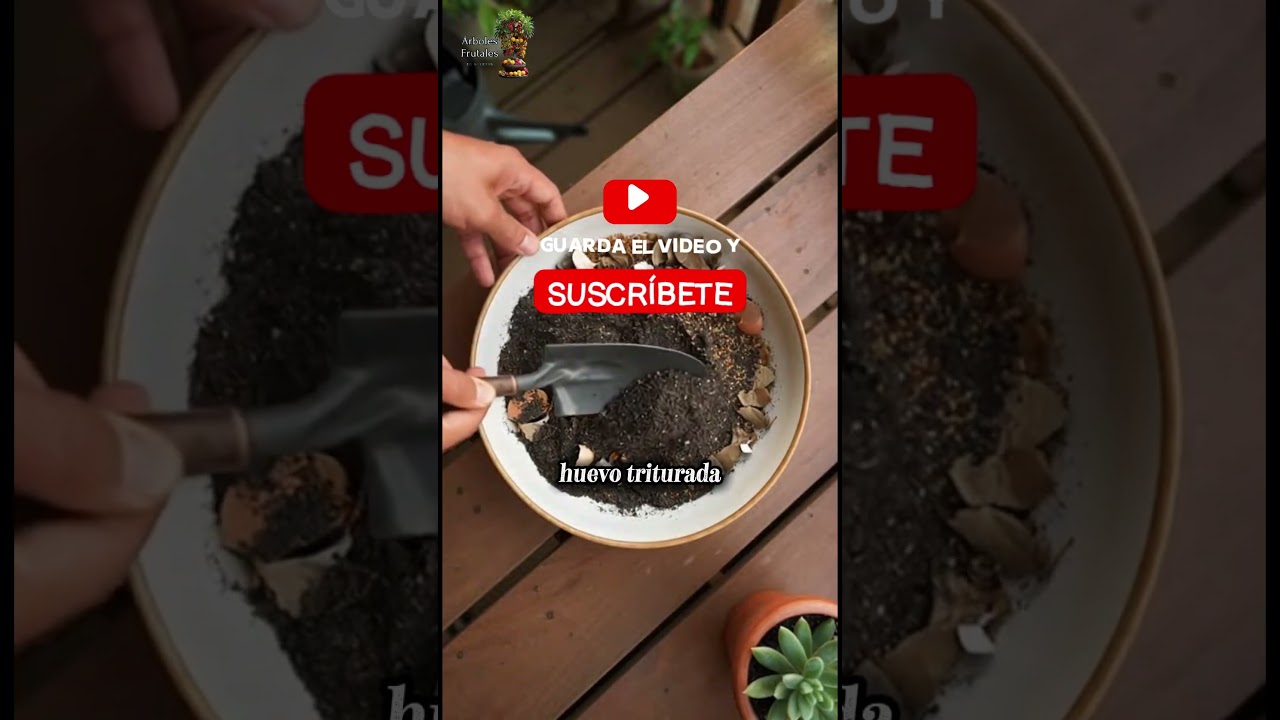 Most people throw away their fruit tree fertilizer 