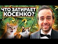 Как разводил народ Косенко и что он ЗАТИРАЕТ на своих курсах!