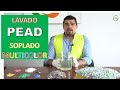 LAVADO DE PEAD MULTICOLOR / MIXED COLORS HDPE WASHING / LAVAGEM DE PEAD MULTICOLORIDO