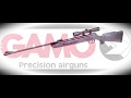 Gamo Big Cat 4,5mm (.177) Air Rifle