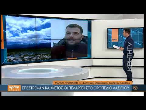 Επέστρεψαν και φέτος οι πελαργοί στο Οροπέδιο Λασιθίου