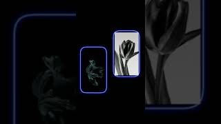 Download Mp3 Templat capcut jedag jedug keren Gudang lagu Download Mp3 Templat capcut jedag jedug keren