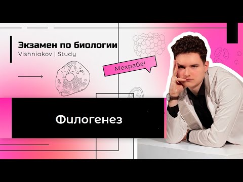 Видео: Что означает онтогенез резюмирует филогенез?