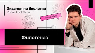 картинка: Экзамен по биологии | ФИЛОГЕНЕЗ