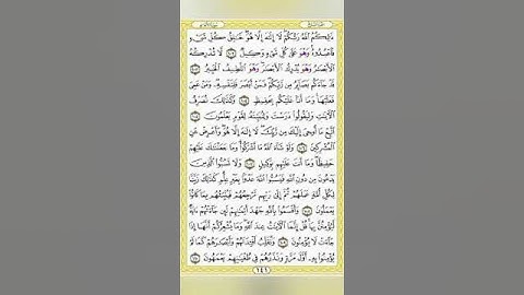 صفحة/١٤١/ رواية قالون عن نافع/سورة الأنعام/ ابو النور الهادي