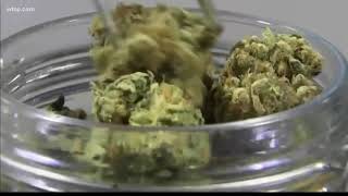 A court has ruled against a judge that says smokeable medical marijuana should be legal