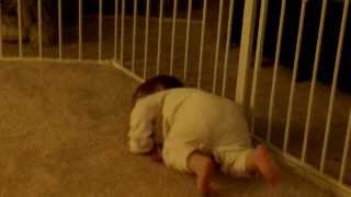 Amelia scooting head on floor by 2sharestuff 103 views 10 years ago 26 seconds