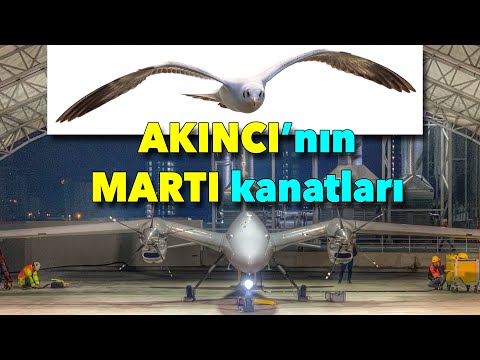 Video: Martı Kanatları