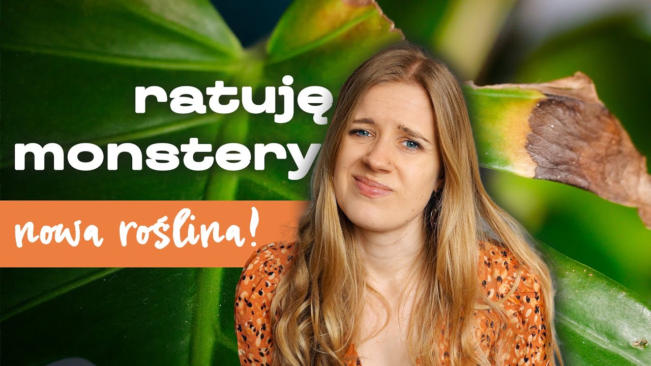 👻 Na ratunek monsterom! | nowa roślina 🖤