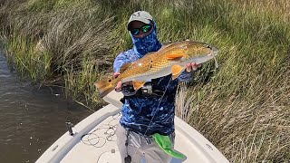 Inshore Slam Speckled Trout Beautiful Golden Redfish and Flounder 