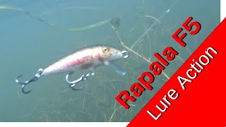 Rapala F5 Original Floating Minnow Underwater Lure Action For Fishing