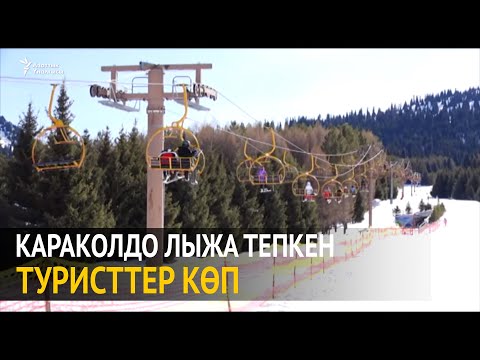 Video: Лыжа базалары эң көп?