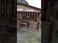 Окончание Чемальского тракта