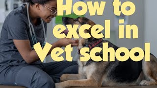 Information How to excel in Vet school Guide