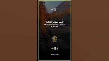 صوت يروي ظمأ الروح | تلاوة تبعث السكينة وتُحيي القلب