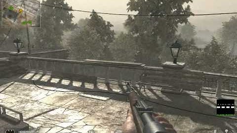 COD5 Asylum Clips
