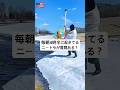 毎朝4時半に起きてるニートやが質問ある?