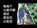 比葡萄干更好的白藜芦醇(resveratrol)来源 | 虎杖 葡萄干 | 白藜芦醇大量来源 怎样获取白藜芦醇