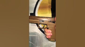 Sig Sauer Flat trigger