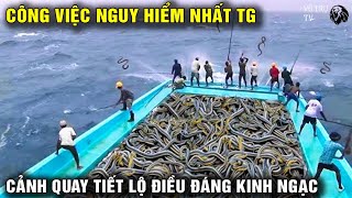 10 Công Việc Nguy Hiểm Nhất Thế Giới - Camera Ghi Lại Cảnh Tượng Đầy Kinh Ngạc