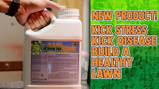 New Product! Kick Summer Stress with GreeneKick by N-Ext DIY Lawn 8,409 views 1 year ago 4 minutes, 7 seconds