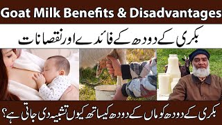 Goat Milk Benefits & Disadvantages Bakri Ke Doodh Ke Fayde Aur Nuksan Al-Razaqi Health Recover