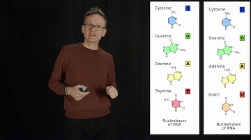 Lecture 01, concept 09: RNA structure