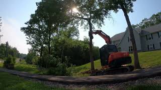 taking trees down  with a tilt rotator by Abrams Excavating 337 views 2 years ago 9 minutes, 16 seconds