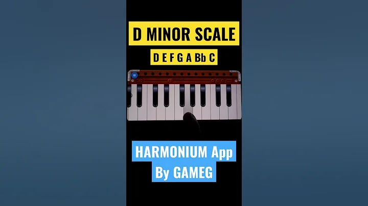 D Minor Scale Shorts Harmonium #shorts