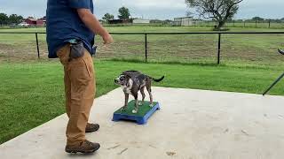 Athena Day 2 Place Training