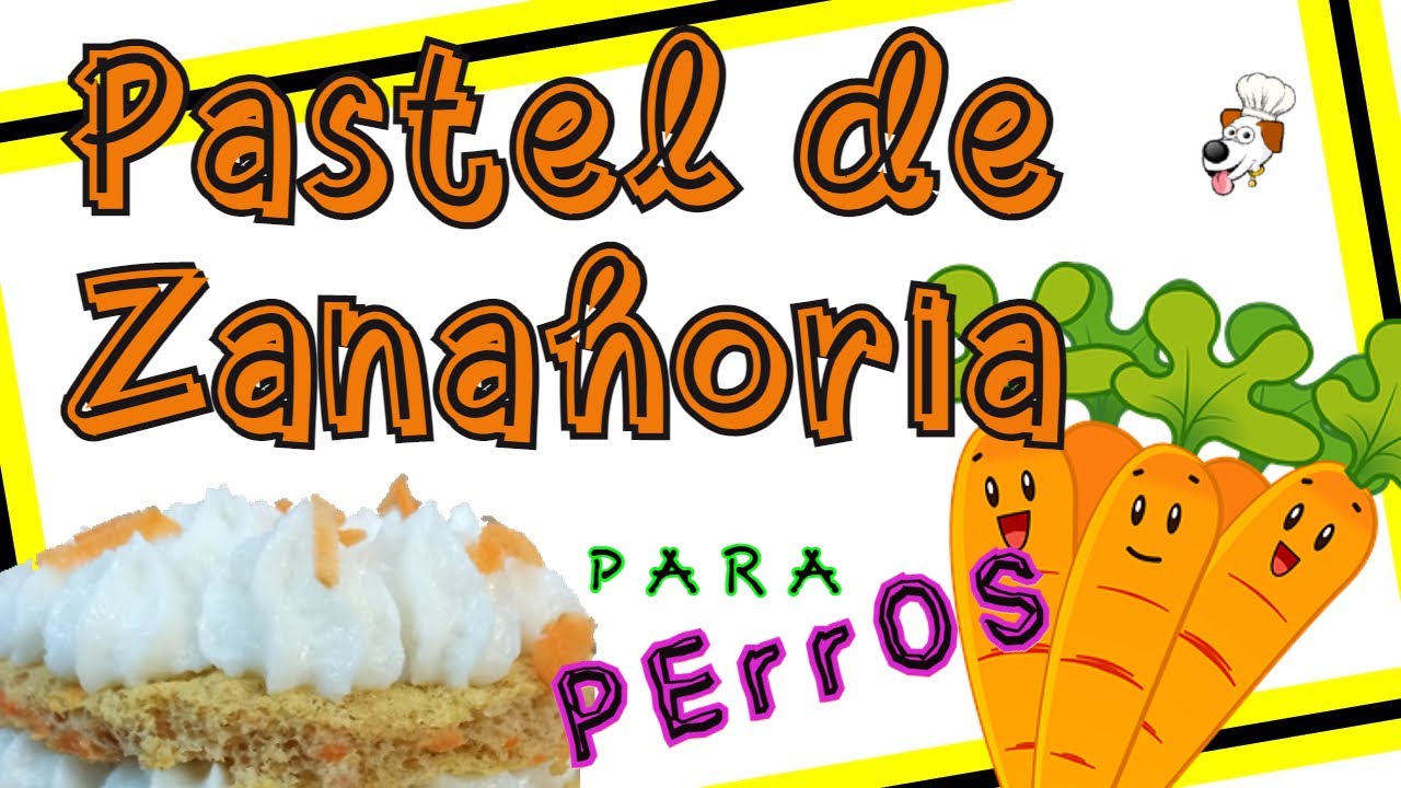 🍰 TARTA de 🥕🥕 ZANAHORIA para PErrOS❗