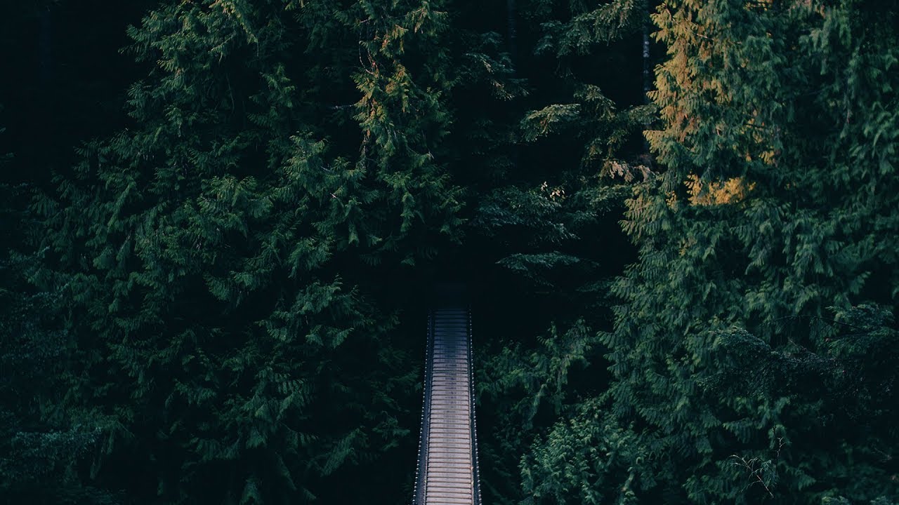 ⁣Shingo Nakamura - Whither [Silk Music]