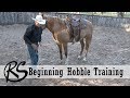 Hobble Training - Everyday Horsemanship