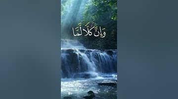 الشيخ محمد الفقيه| صوت يشفي النفس والقلب #قران #تلاوة