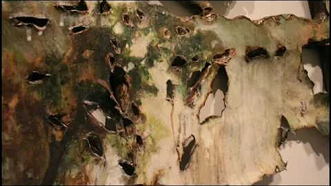 Valerie Hegarty: "Fallen Bierstadt"