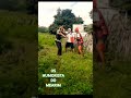 Os Humorista Do Mearim #shortsvideo #humor #funil #memes #memefras