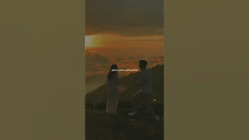 يا مسافر ناصيف زهير 