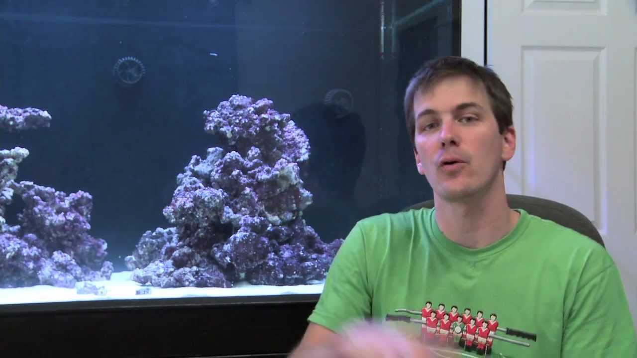 how to videos on tiktok Mr. Saltwater Tank TV Friday Am Quick Tip #80: Rob the Cradle For This Tool
