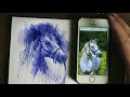 A ballpoint drawing of a horse